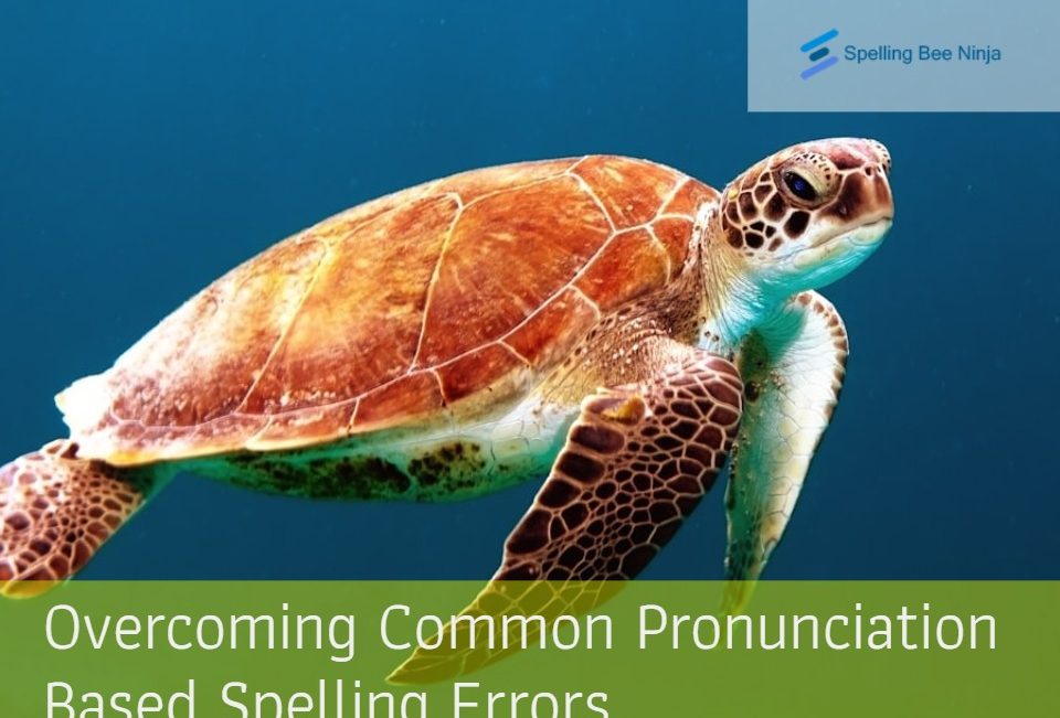 Overcoming Common Pronunciation-Based Spelling Errors