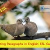 Writing Paragraphs in English: ESL Guide
