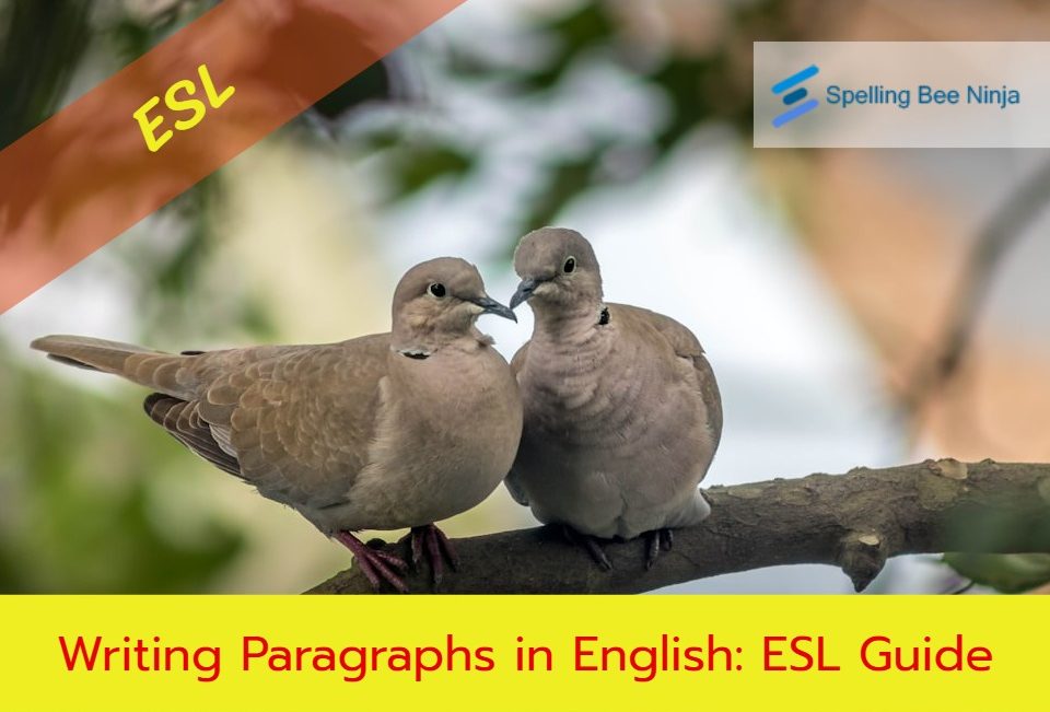 Writing Paragraphs in English: ESL Guide