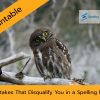 Mistakes That Disqualify You in a Spelling Bee