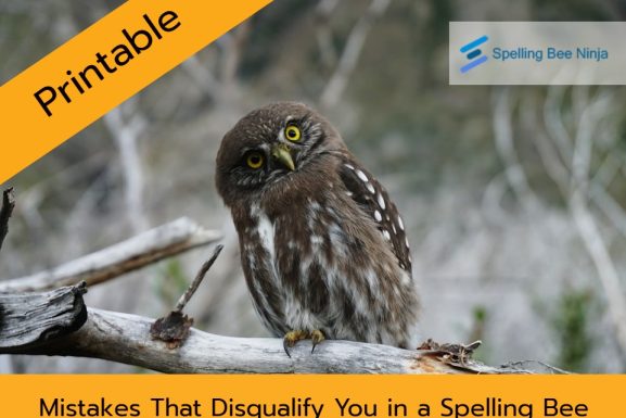 Mistakes That Disqualify You in a Spelling Bee