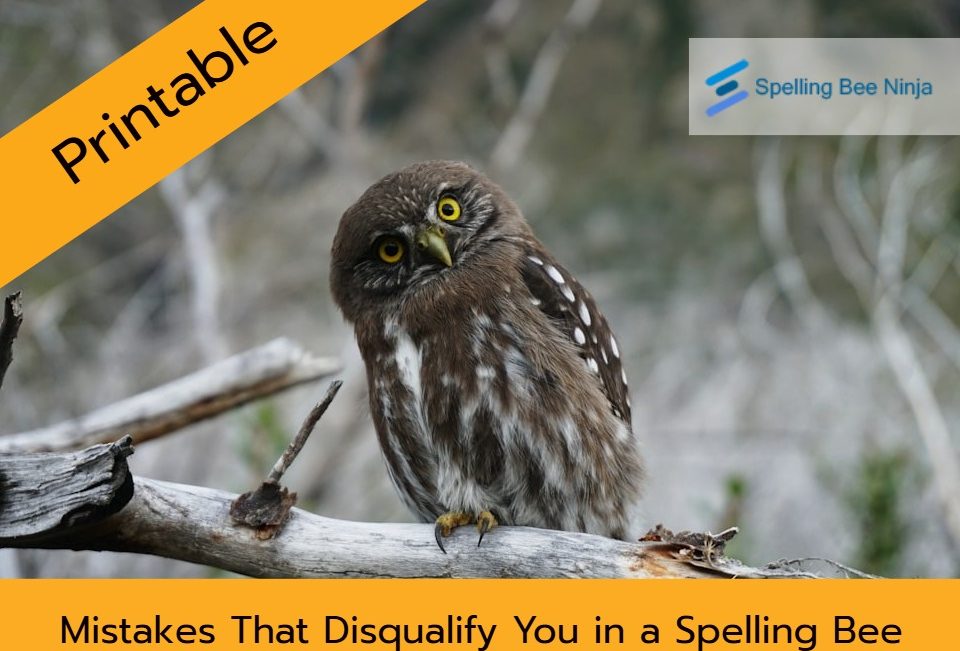 Mistakes That Disqualify You in a Spelling Bee