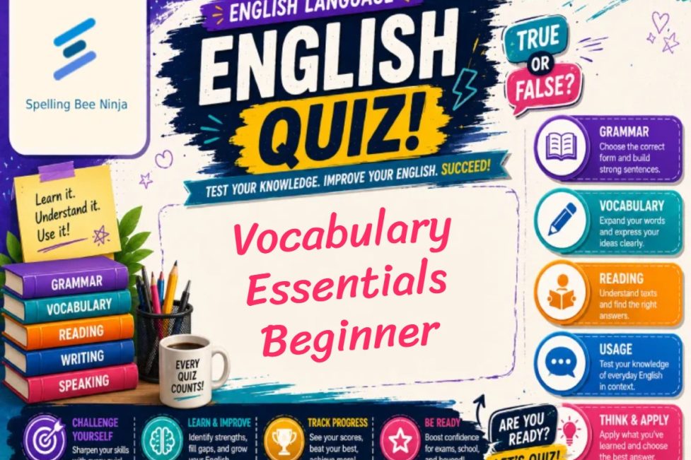 English Test - Vocabulary Essentials – Beginner