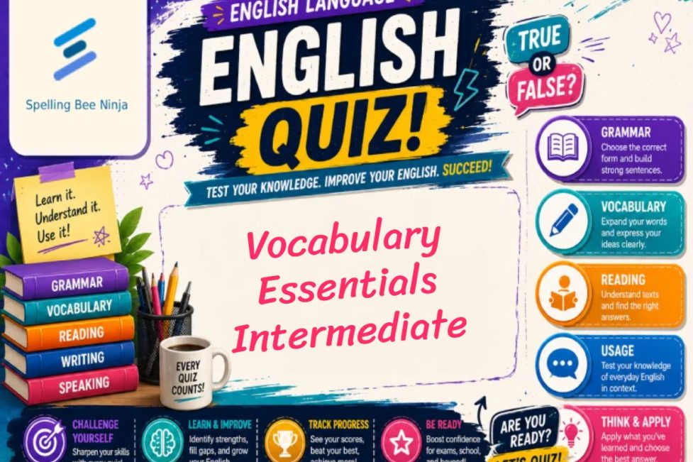 English Test - Vocabulary Essentials – Intermediate