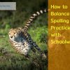 How to Balance Spelling Practice with Schoolwork