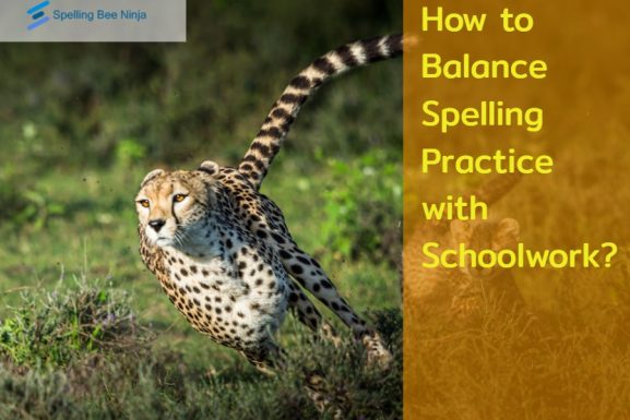 How to Balance Spelling Practice with Schoolwork