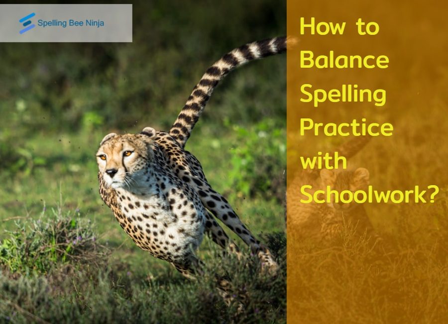 How to Balance Spelling Practice with Schoolwork