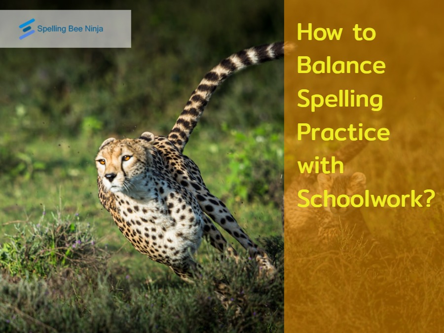 How to Balance Spelling Practice with Schoolwork