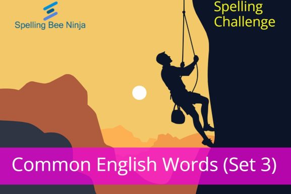 Spelling Bee Challenge – Common English Words (Set 3)