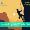 Spelling Bee Challenge Common English Words (Set 4)