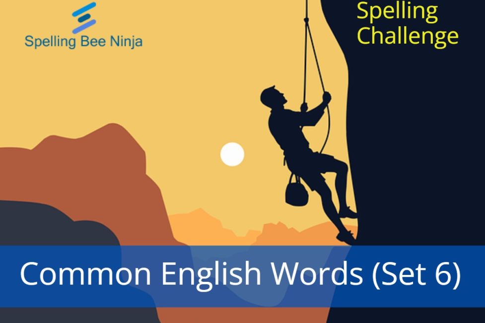 Spelling Bee Challenge Common English Words (Set 6)