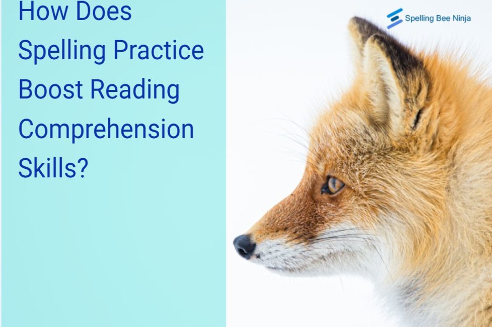 How Does Spelling Practice Boost Reading Comprehension Skills