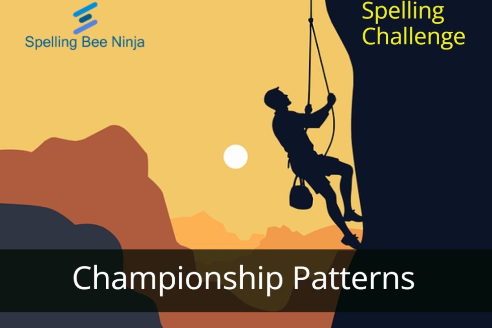 Spelling Bee Challenge - Championship Patterns