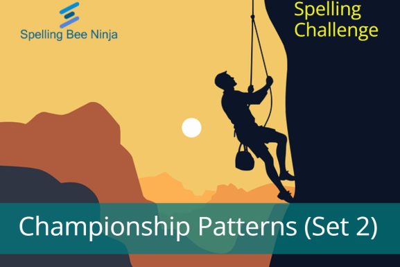 Spelling Bee Challenge - Championship Patterns (Set 2)