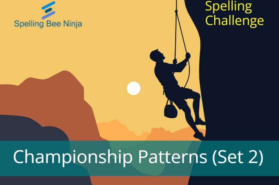 Spelling Bee Challenge - Championship Patterns (Set 2)