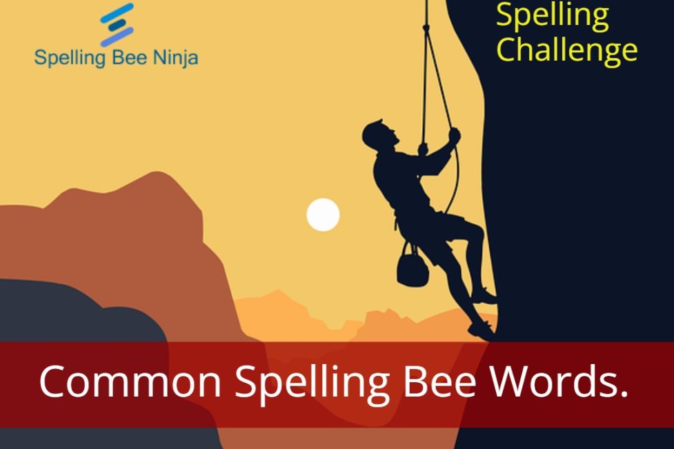 Spelling Bee Challenge - Common Spelling Bee Words.