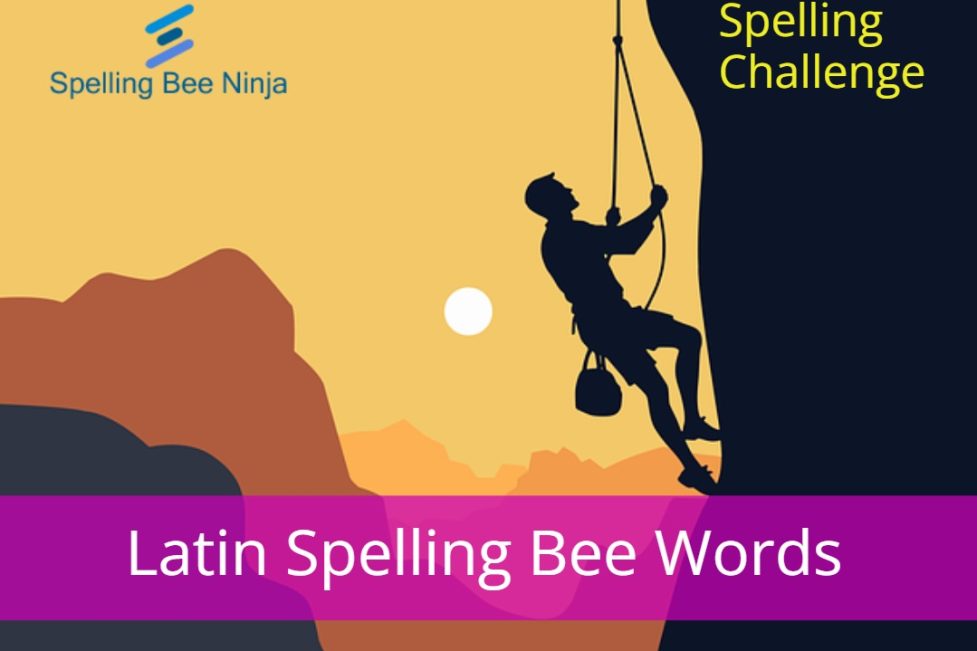Spelling Bee Challenge - Latin Spelling Bee Words