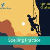 Spelling Bee Challenge - Spelling Practice