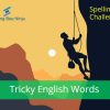 Spelling Bee Challenge - Tricky English Words