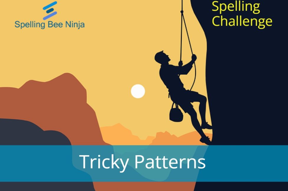 Spelling Bee Challenge - Tricky Patterns