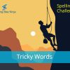 Spelling Bee Challenge – Tricky Words