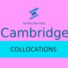 Cambridge - Collocations Quiz