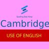 Cambridge - Use of English Quiz