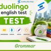 Duolingo - Grammar Quiz
