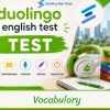 Duolingo - Vocabulary Quiz