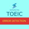 TOEIC Error Detection Quiz