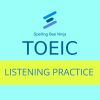 TOEIC - Listening Practice Quiz