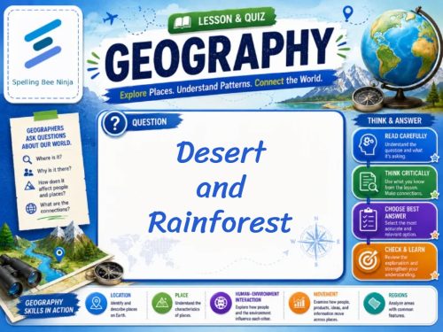 Desert and Rainforest Lesson and Quiz