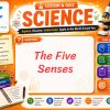 The five senses lesson and quiz