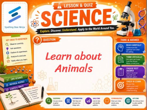 Learn About Animals Lesson and Quiz