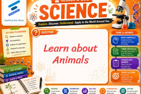 Learn About Animals Lesson and Quiz