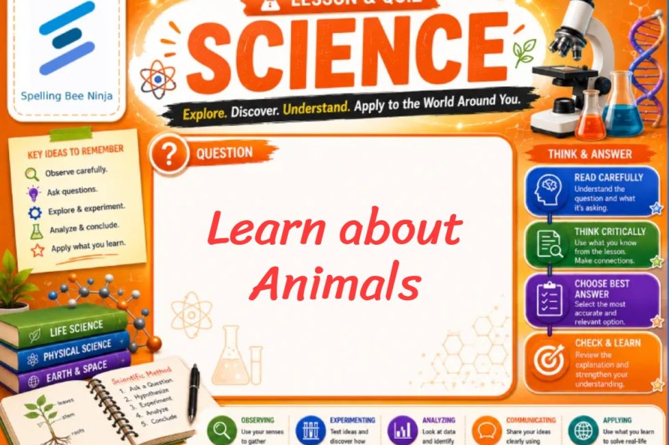 Learn About Animals Lesson and Quiz