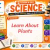 Learn about plants Lesson and Quiz