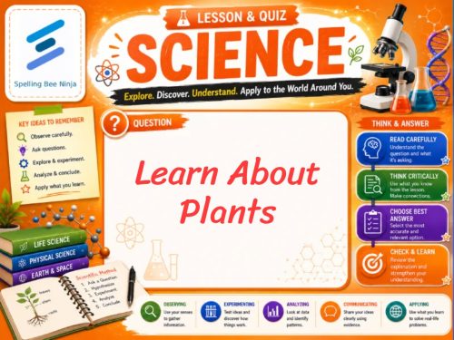 Learn about plants Lesson and Quiz