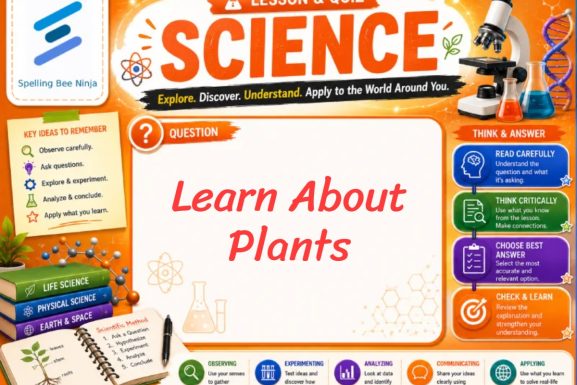Learn about plants Lesson and Quiz