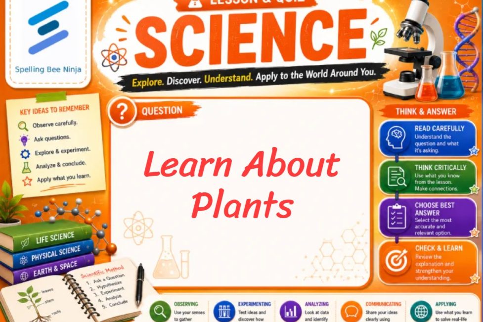 Learn about plants Lesson and Quiz