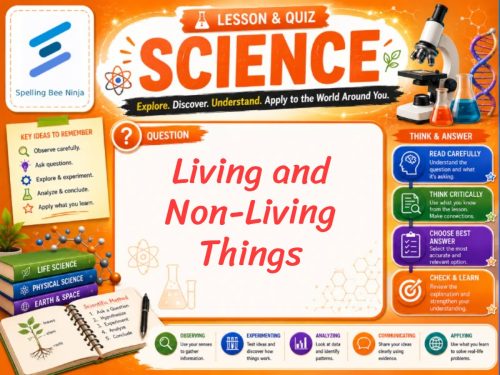Living and Non-Living Things Lesson and Quiz