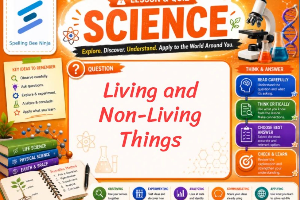 Living and Non-Living Things Lesson and Quiz