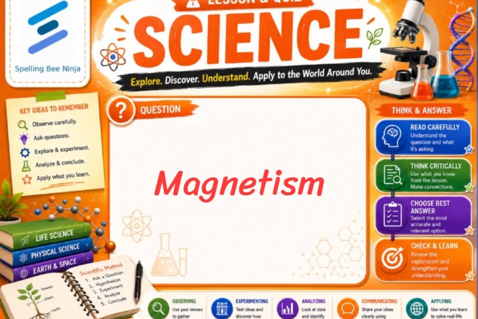 Magnetism Lesson and Quiz