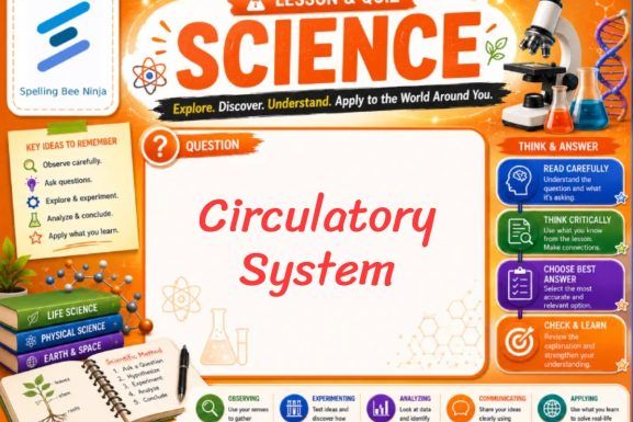 Circulatory System Lesson and Quiz