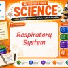 Respiratory System Lesson and Quiz