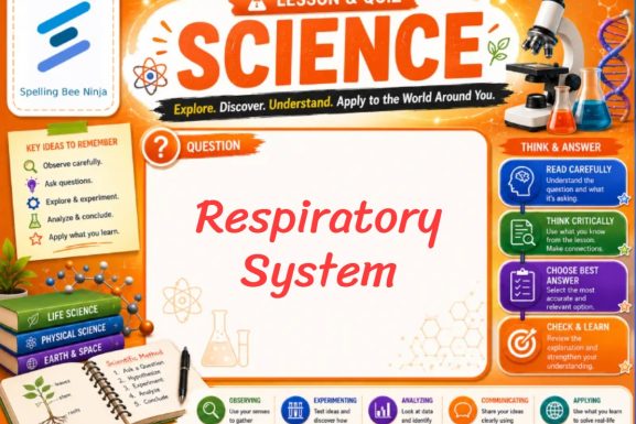 Respiratory System Lesson and Quiz