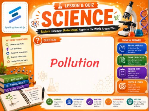 Pollution Lesson and Quiz