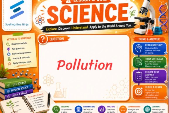 Pollution Lesson and Quiz