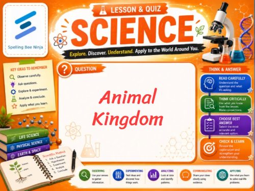 Animal Kingdom Lesson and Quiz