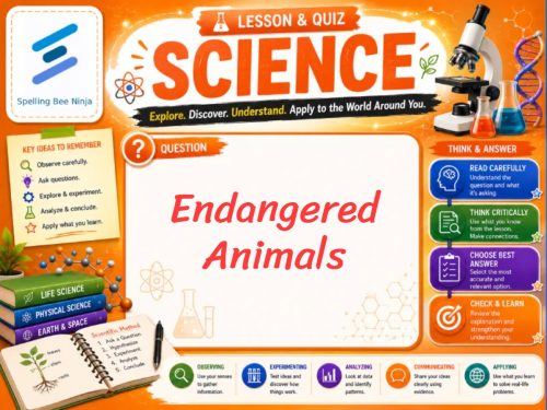 Endangered Animals Lesson and Quiz